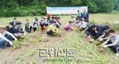  뱸ΰ л,  . Ȯ <2013